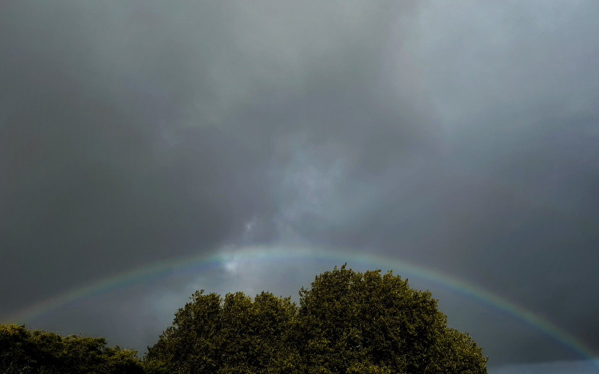 BaldCoffee tweet media