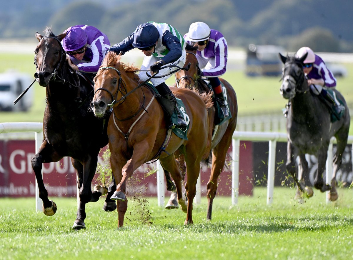 RacehorseOwners's tweet photo. Zavateri 🥇🥇🥇🥇

Congratulations to ROA Members' Mick and Janice Mariscotti  with their unbeaten star - Zavateri on winning the Gr 1 National Stakes @curraghrace yesterday!

Congratulations also to @johnsonhoughton and her  team! ✨ https://t.co/bCdH8PDtQo