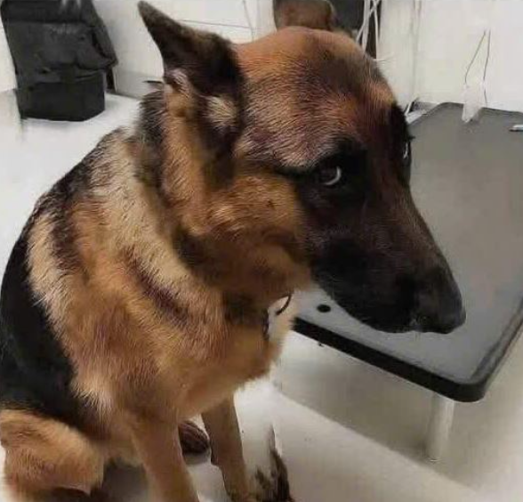 I'm not going to get a kiss because I'm not perfect🥰