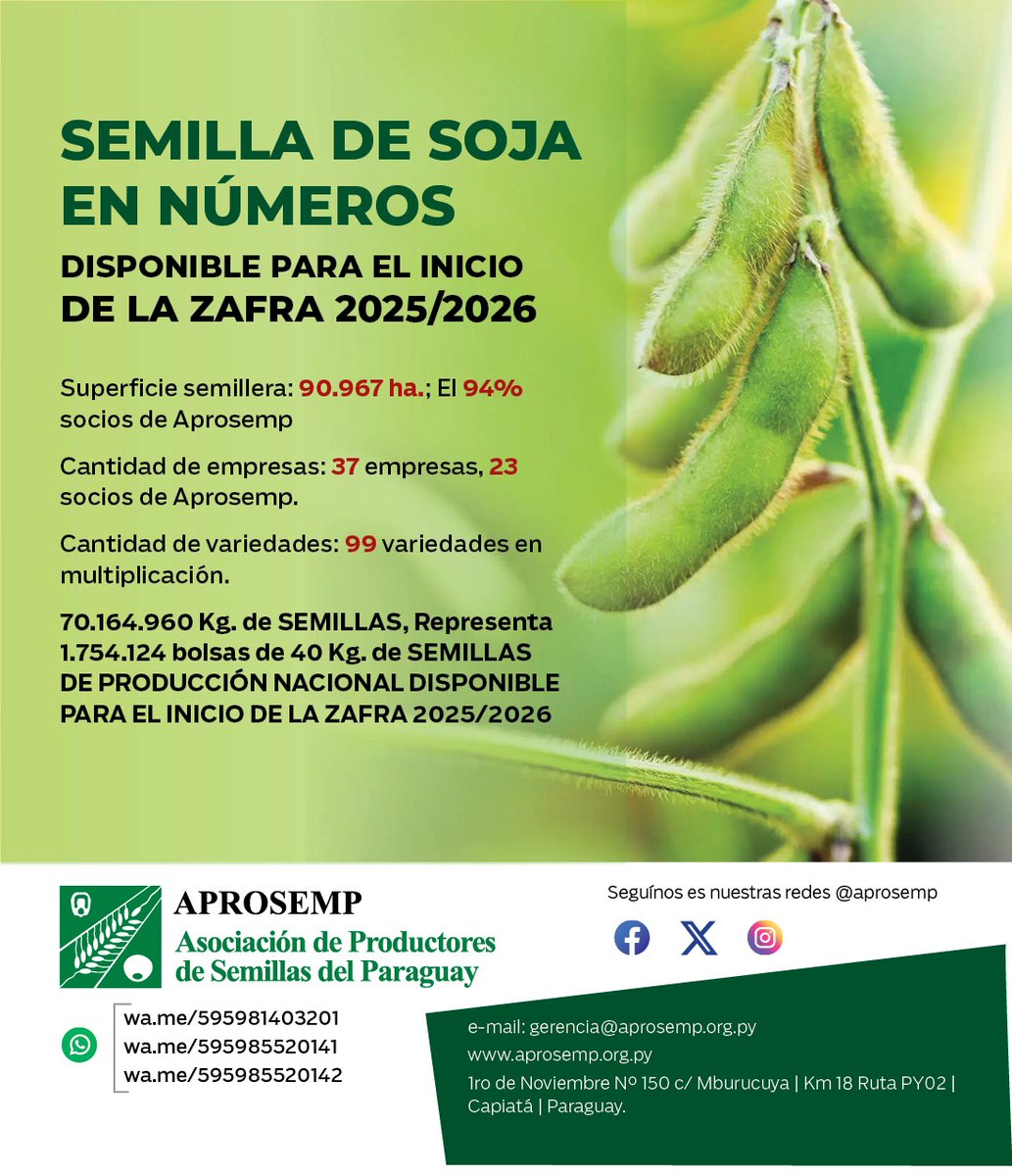 aprosemp_py's tweet image. 70.164.960 kg. De SEMILLAS de soja que representa a 1.754.124 bolsas de 40 Kg de Semillas Certificadas en Paraguay.. Producción Nacional 🇵🇾🇵🇾