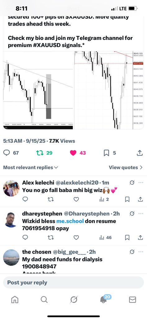 Alex kelechi tweet media