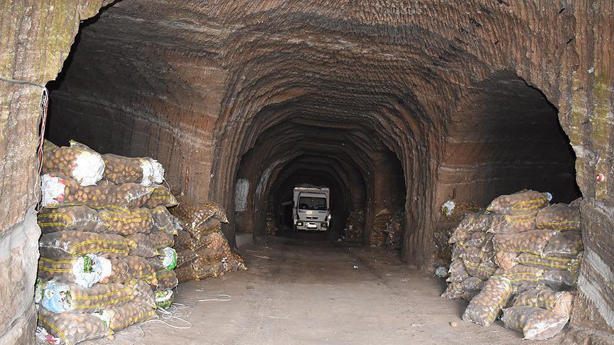 Celal Korkut tweet media