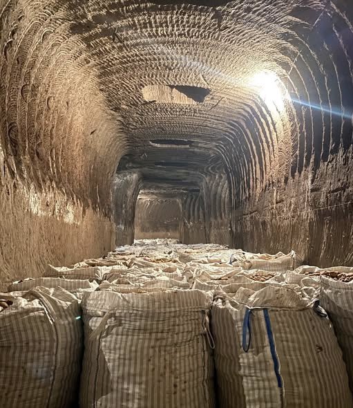 Celal Korkut tweet media