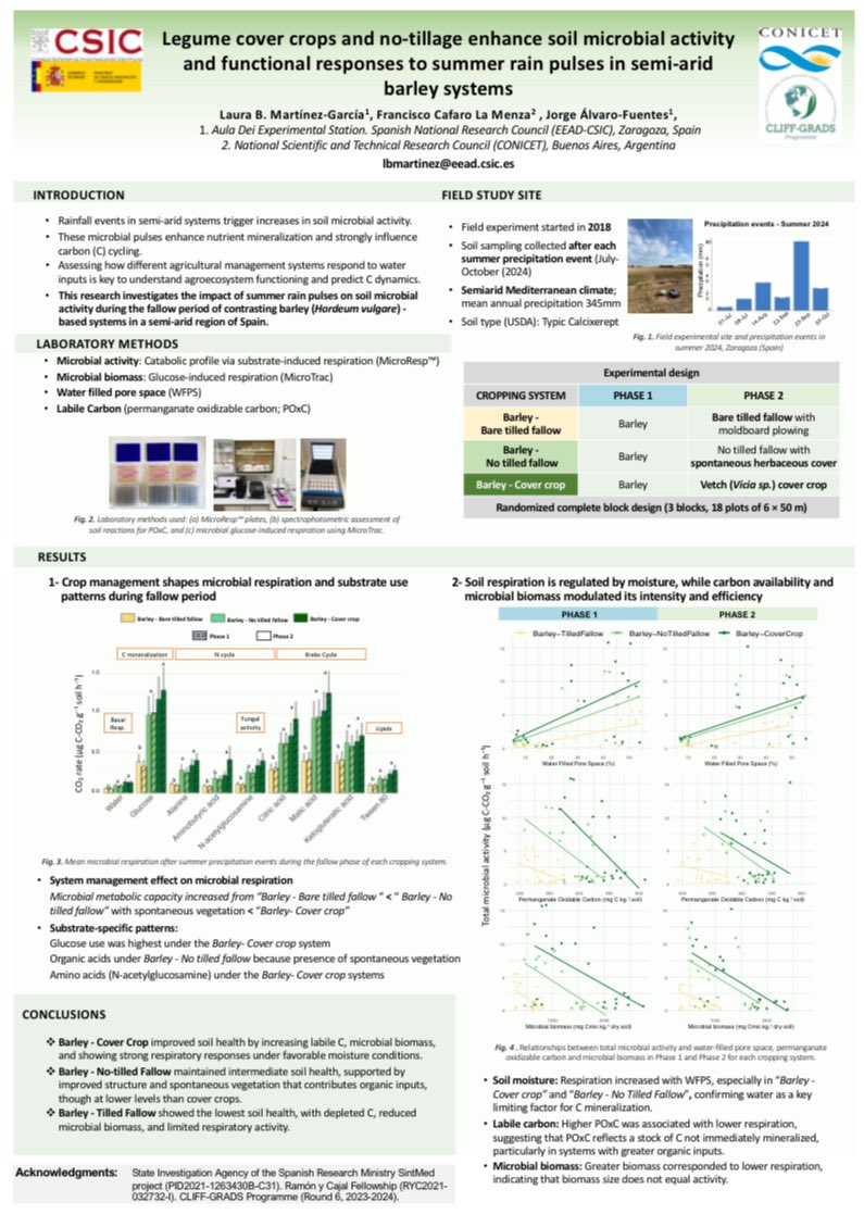 From 🇦🇷to🇪🇸 Last week at #EUROSOIL2025, 2 posters from my research stay collaboration at <a href="/EEAD_CSIC/">EEAD - CSIC</a> were presented:

1️⃣ Cropping systems &amp; GHG emissions 
2️⃣ Legume CC &amp; no-tillage: soil microbial diversity 

Glad to have contributed to this great teamwork on semi-arid soils! 🤝🏼💪🏼