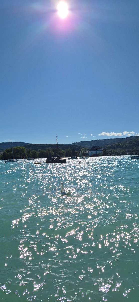 BarbaraKain1's tweet image. ✨ Wenn das Wasser im Sonnenlicht tanzt und die Berge wachen, dann weiß man: Das Leben ist schön. 💙
Einfach durchatmen, den Moment spüren und die Seele treiben lassen. 🌊☀️⛵️

#PositiveVibes #goodfeeling #LakesideMagic #NatureLove #Sonnenmomente #Glücksgefühle