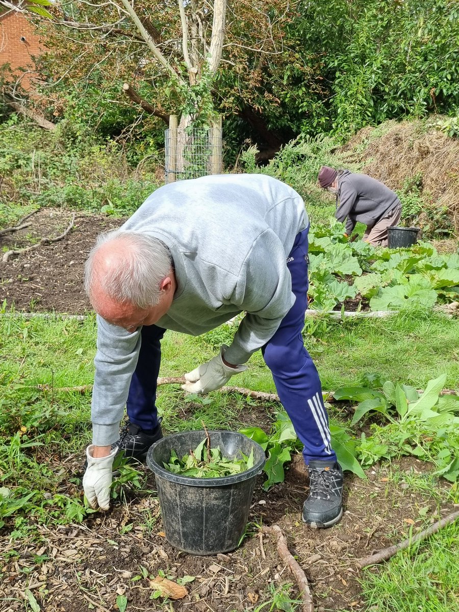 fruitnutvillage's tweet image. #StartTheWeek at #KingdomForestGarden #Stirchley... almost every Monday morning. The best part is... not having to water any longer! @TNLComFund