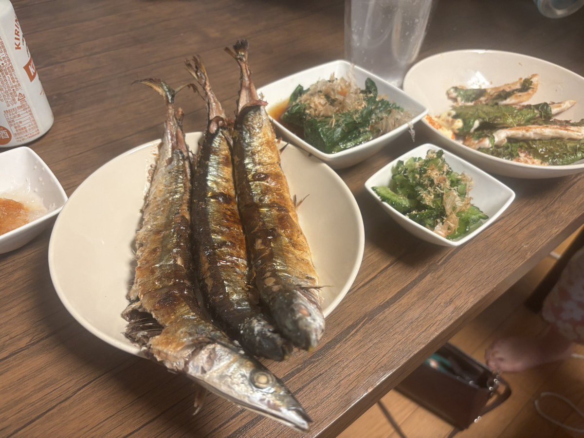 秋刀魚の塩焼き、ささみの梅しそ焼、ほうれん草のおひたし、ゴーヤの浅漬け
初秋は晩酌がはかどるのう☺️