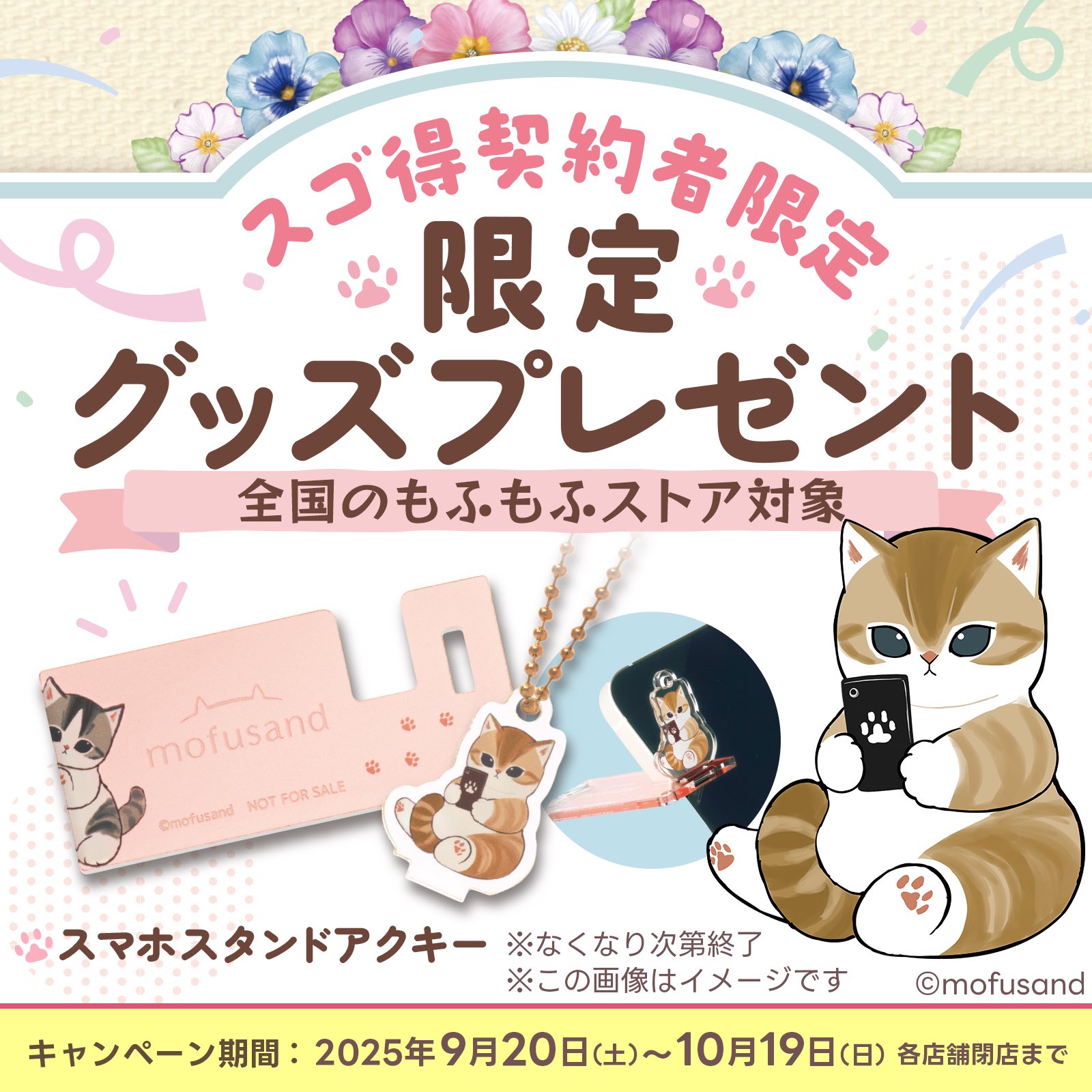 ぢゅの🐈 on X: 