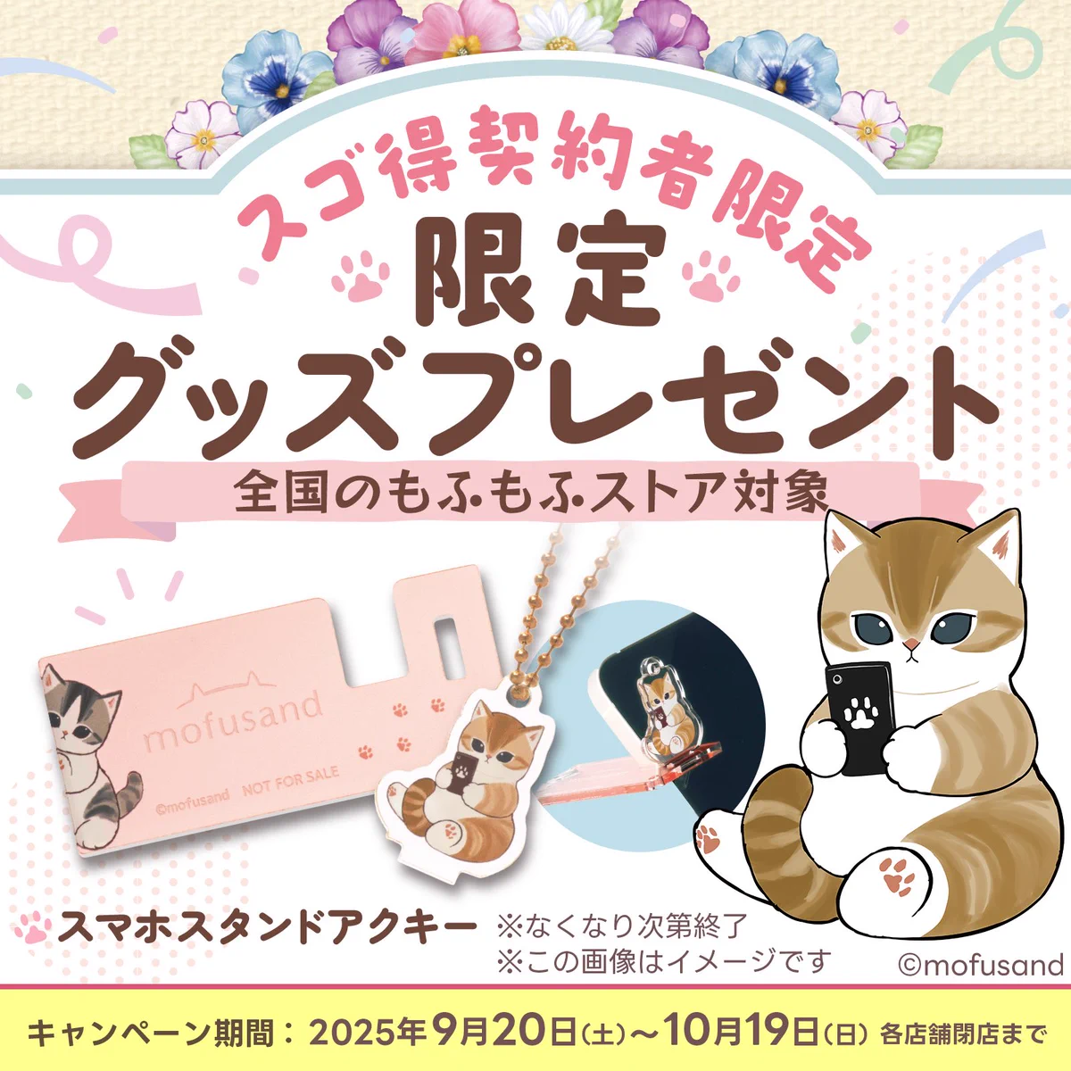 ぢゅの🐈 on X: 