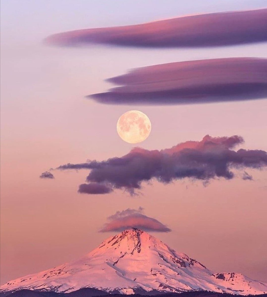 Passion sometimes means perseverance and tenacity 🌕🧚🏻💓 #September2025