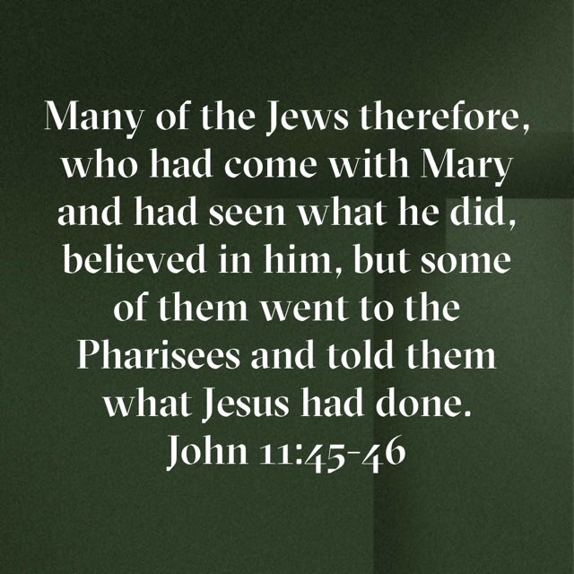 Marty Blakely tweet media