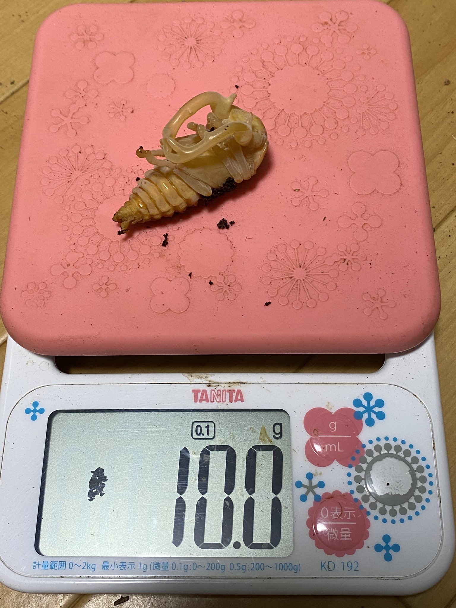 ささき (@sasaki_628212) / X