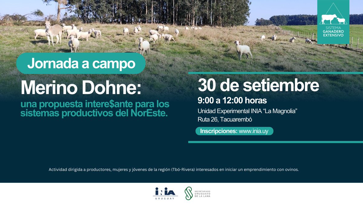 INIA_UY's tweet photo. 🐑 Merino Dohne: una propuesta para potenciar la producción ovina en el NorEste.

✅Recorrida a campo
✅ Resultados económicos del modelo
✅ Manejo de pariciones y uso de pasturas
✅ Opciones forrajeras para areniscas

👉Inscripciones: https://t.co/rc5MzT1yTY https://t.co/8BjLicpHNG