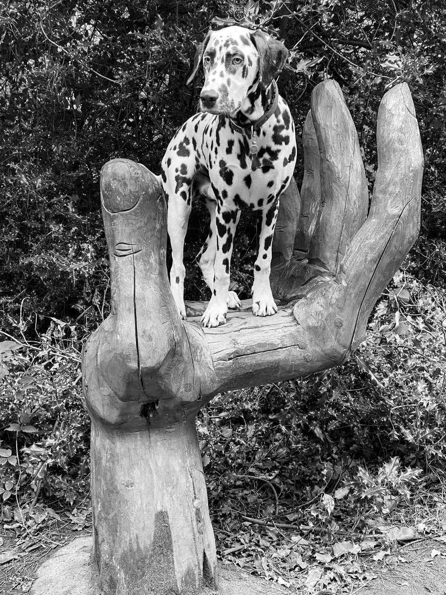 Many has been the time when I’ve wished &amp; prayed for a helping hand to assist me with entertaining this hooligan