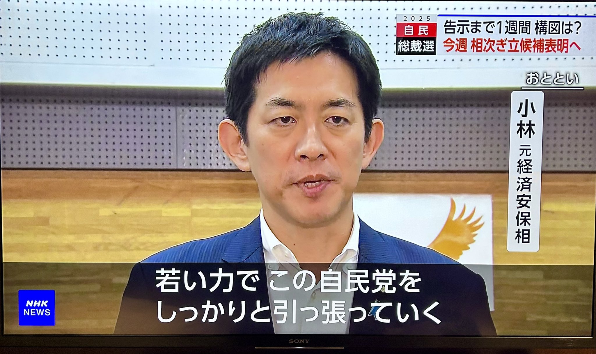 Posts with replies by tobibashi (@tobibashi) / X