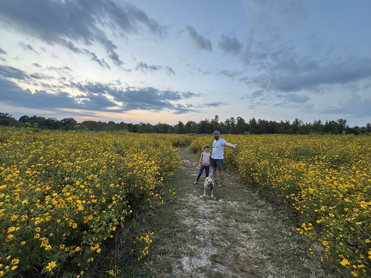 Tony Gonzalez tweet media