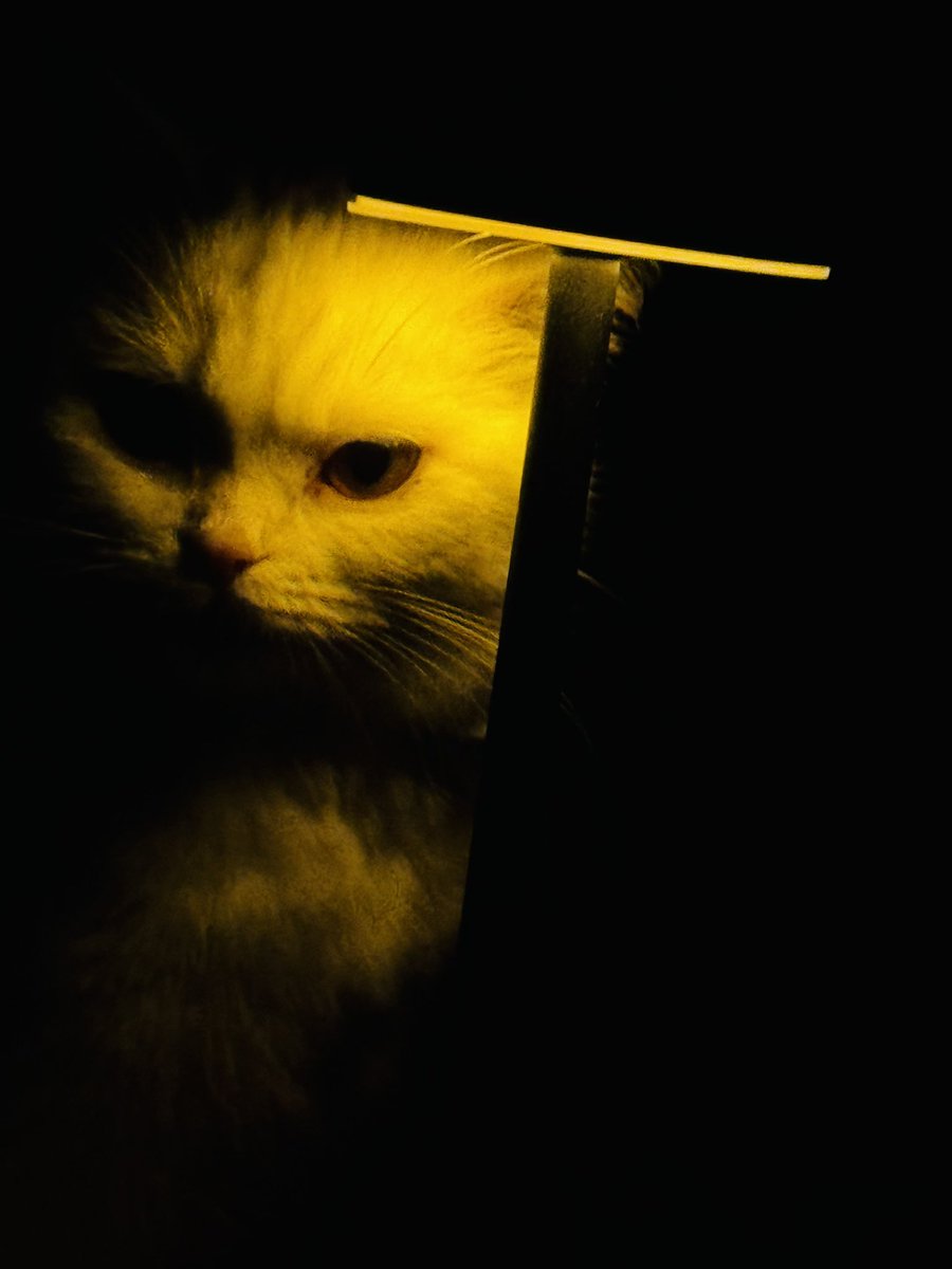 Gold Fire tweet media