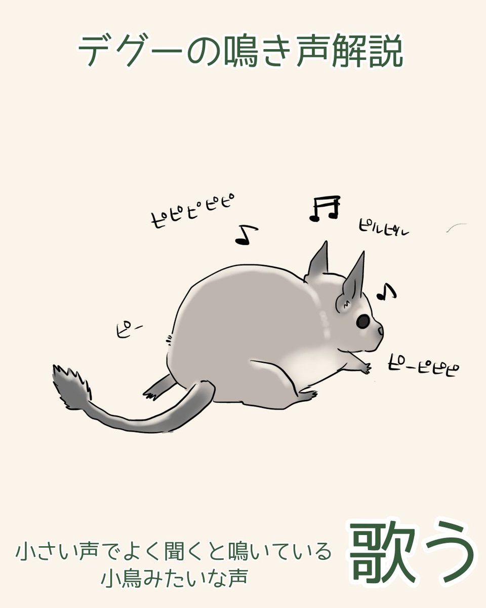 nucleotidenona's tweet image. デグーの鳴き声をイラストで解説しようとする難しいシリーズ