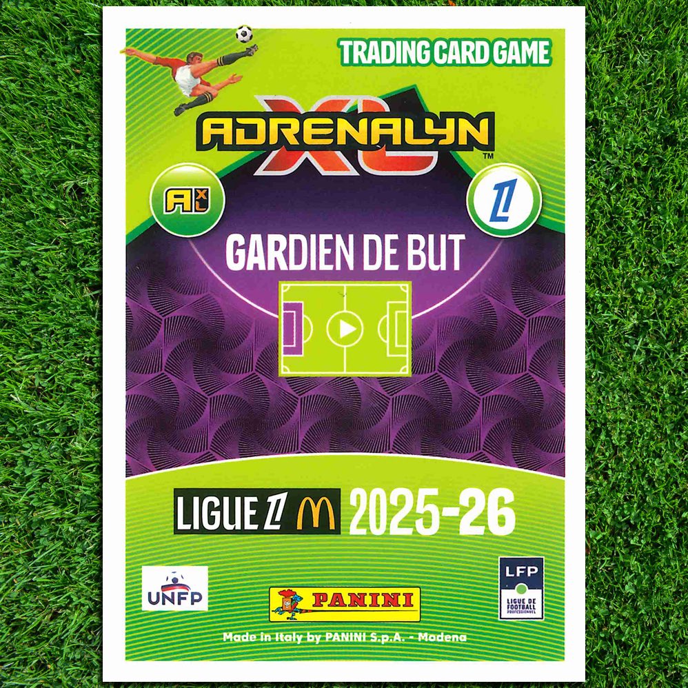 OM Trading Cards tweet media