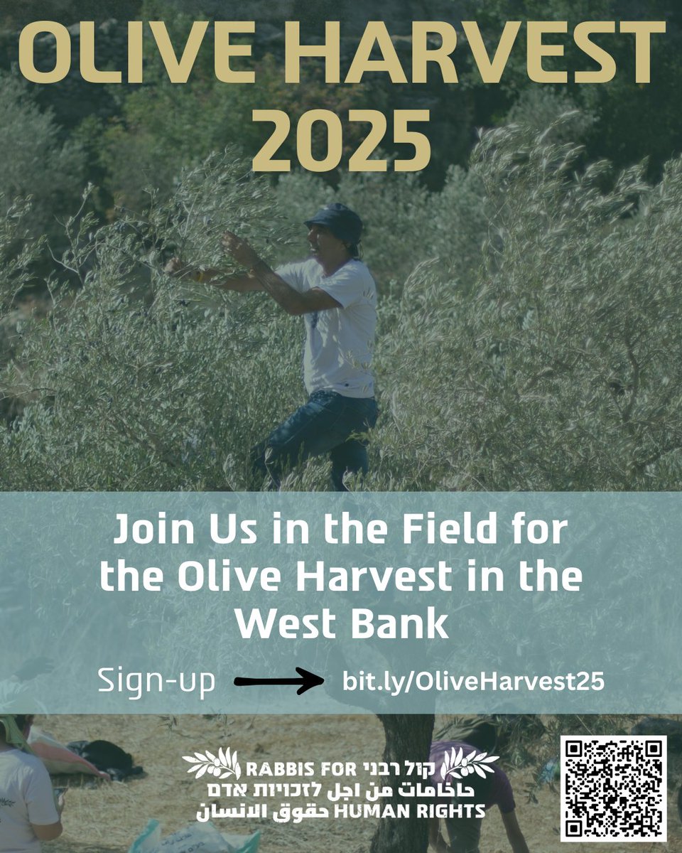 Can you stand with Palestinian farmers during this critical harvest?

Volunteers are essential to ensuring a safe and successful olive harvest for the communities we accompany in the West Bank. We will be out in the groves six days a week.

Register: bit.ly/OliveHarvest25