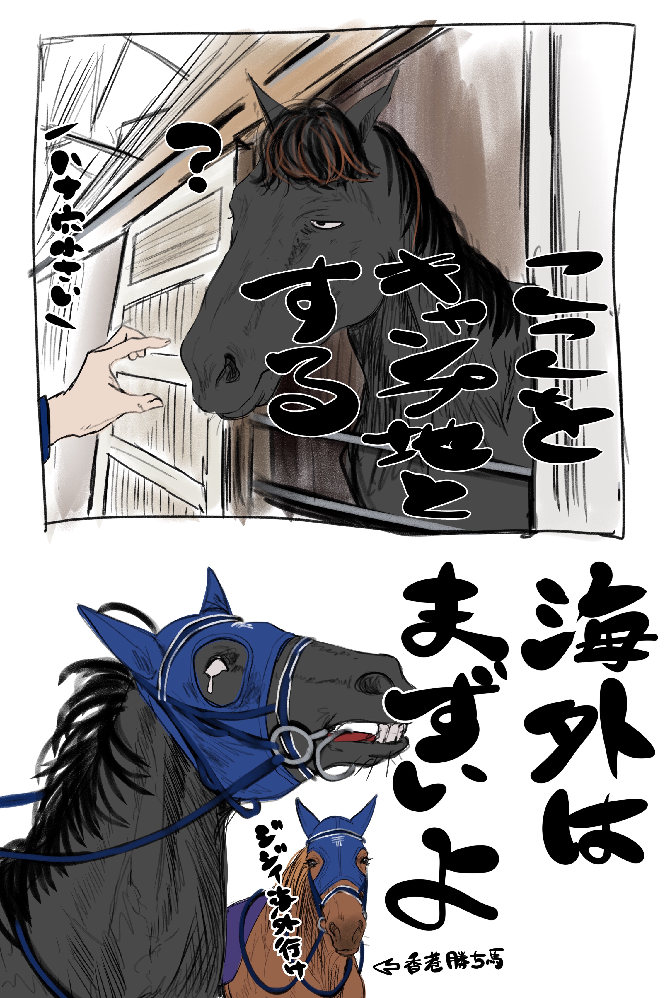 盗まれた馬 Horse Memorys on X: 