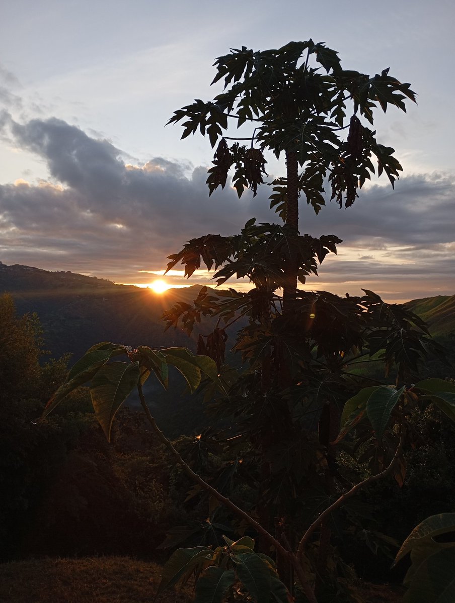 ¡Feliz y bendecido inicio de semana! ☀️ 

📸 Amanecer de hoy
El cielo nos regaló unos tonos espectaculares

​#FelizLunes #Venezuela #Amanecer #ElHatillo