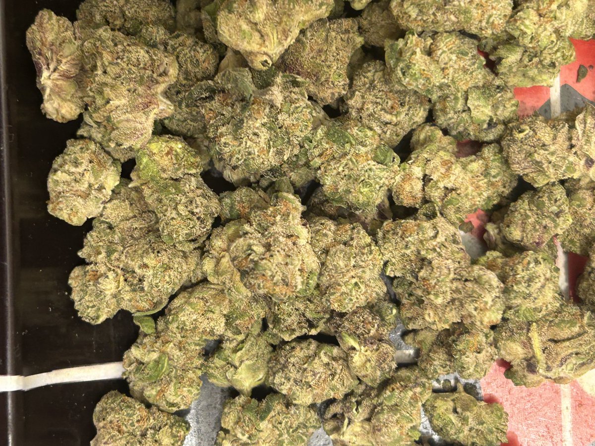 GM! Picked up a zip of legacy smalls!! Pretty good this is from cresco it’s OG kush crossed with biscotti. It’s a nice strain I smoke it often! Stay lifted have a great day fam!
