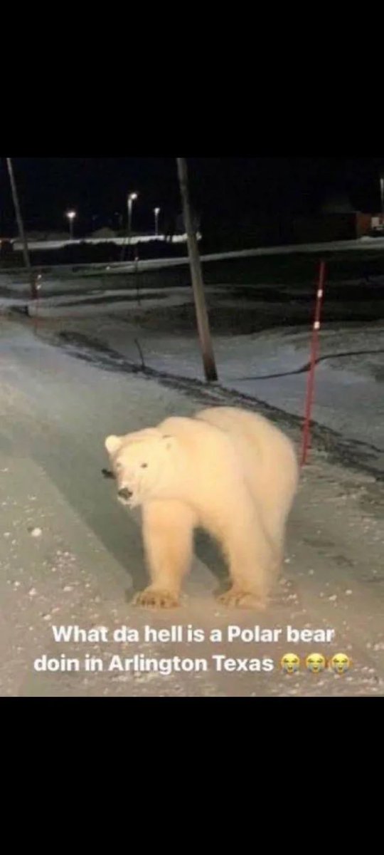 matt_wyc's tweet image. Luke Leahy