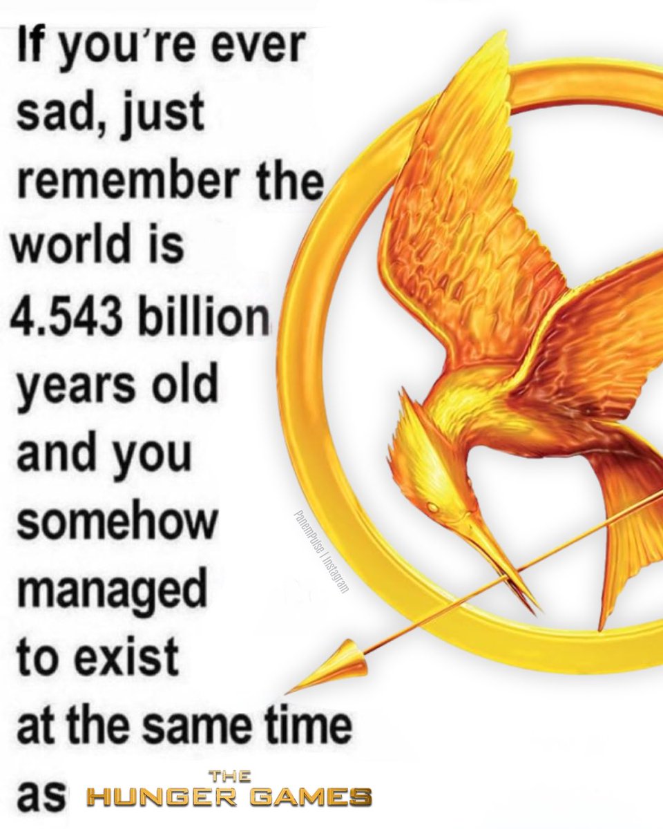 PanemPulse | Hunger Games News tweet media