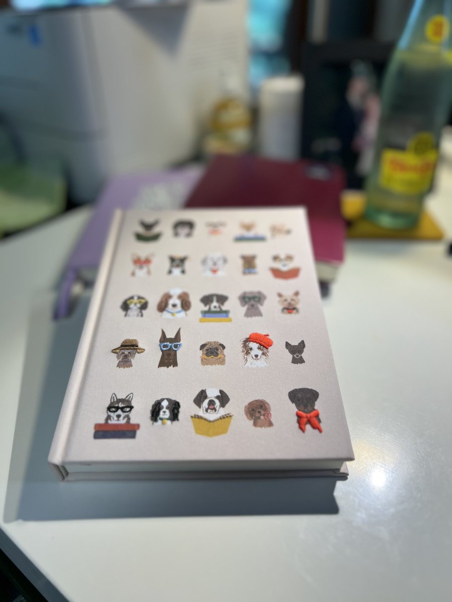 Christen (this is my indoor voice) Rexing,PhD,MPH tweet media