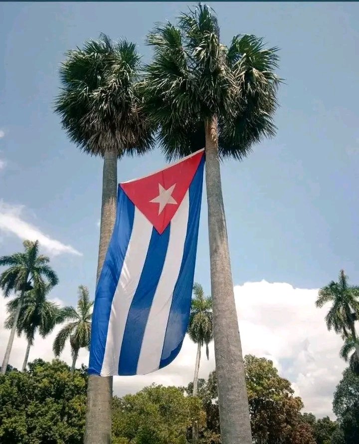 Miguel Colina tweet media