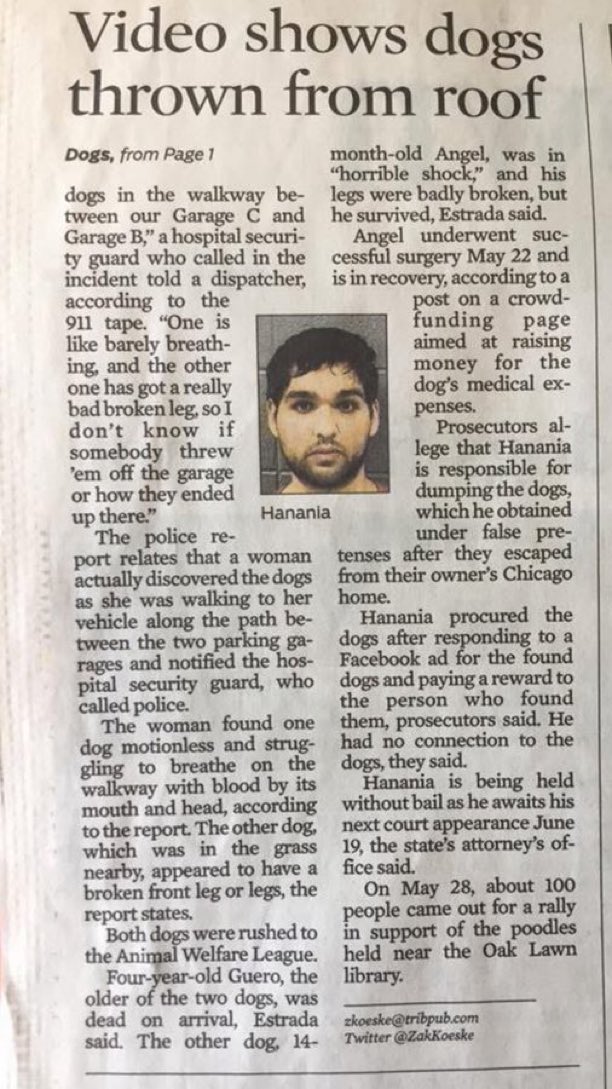 Today I learned that Richard Hanania’s brother got caught THROWING PUPPIES OFF THE ROOF of a parking garage. There’s something wrong with that family…