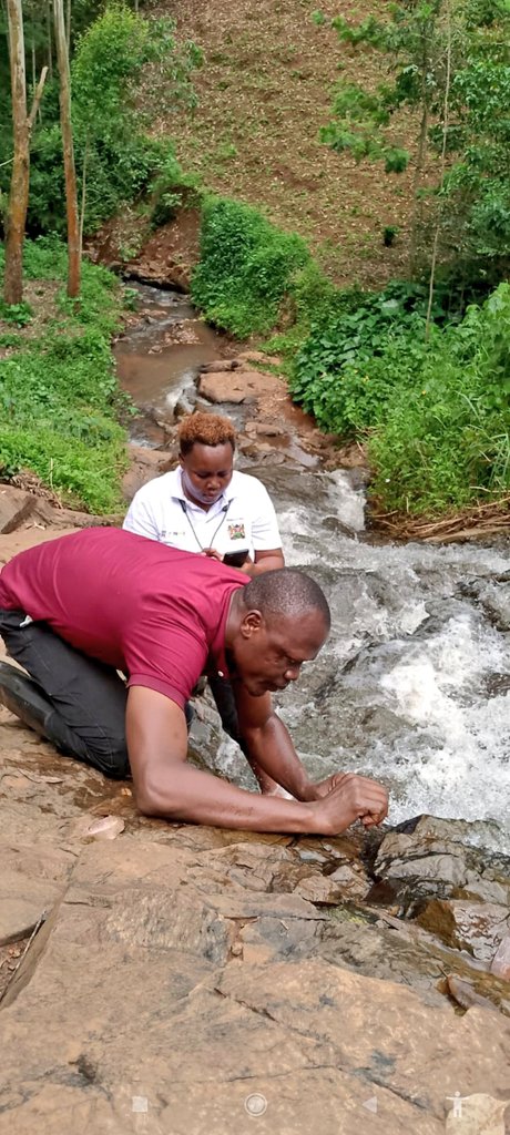 #Onchocerciasis Elimination Mapping has begun in Western Kenya. Teams are currently prospecting rivers to identify the breeding sites &amp; collect the aquatic stages of the vector. Adult fly collection will run for 3 months of wet &amp; 3 of dry season in identified breeding sites.
