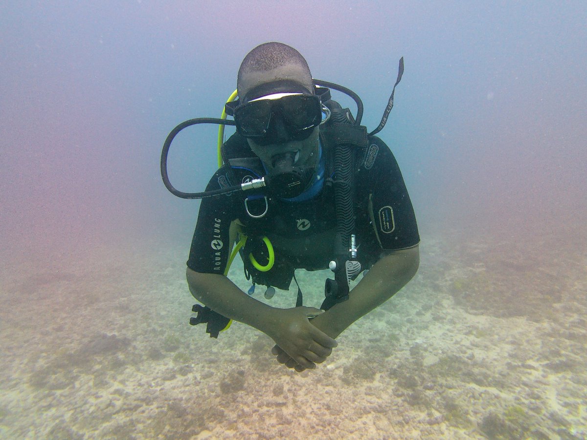 brianom01520984's tweet photo. The invisibility nature of #monofilament #ghost #nets make them one of the deadliest contributors of #marine #wildlife #entanglement incidents. 
#divinglife #marineconservation #ghostgear #marinelife https://t.co/Mv5izdWdHX