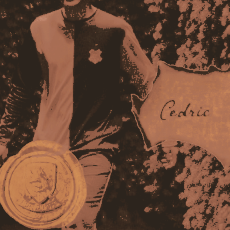 — ⸝⸝ 𝖉𝖎𝖌𝖌𝖔𝖗𝖞 tweet media