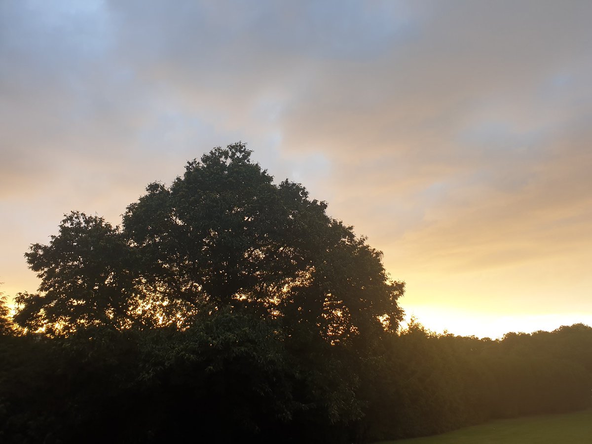 #abendstimmung