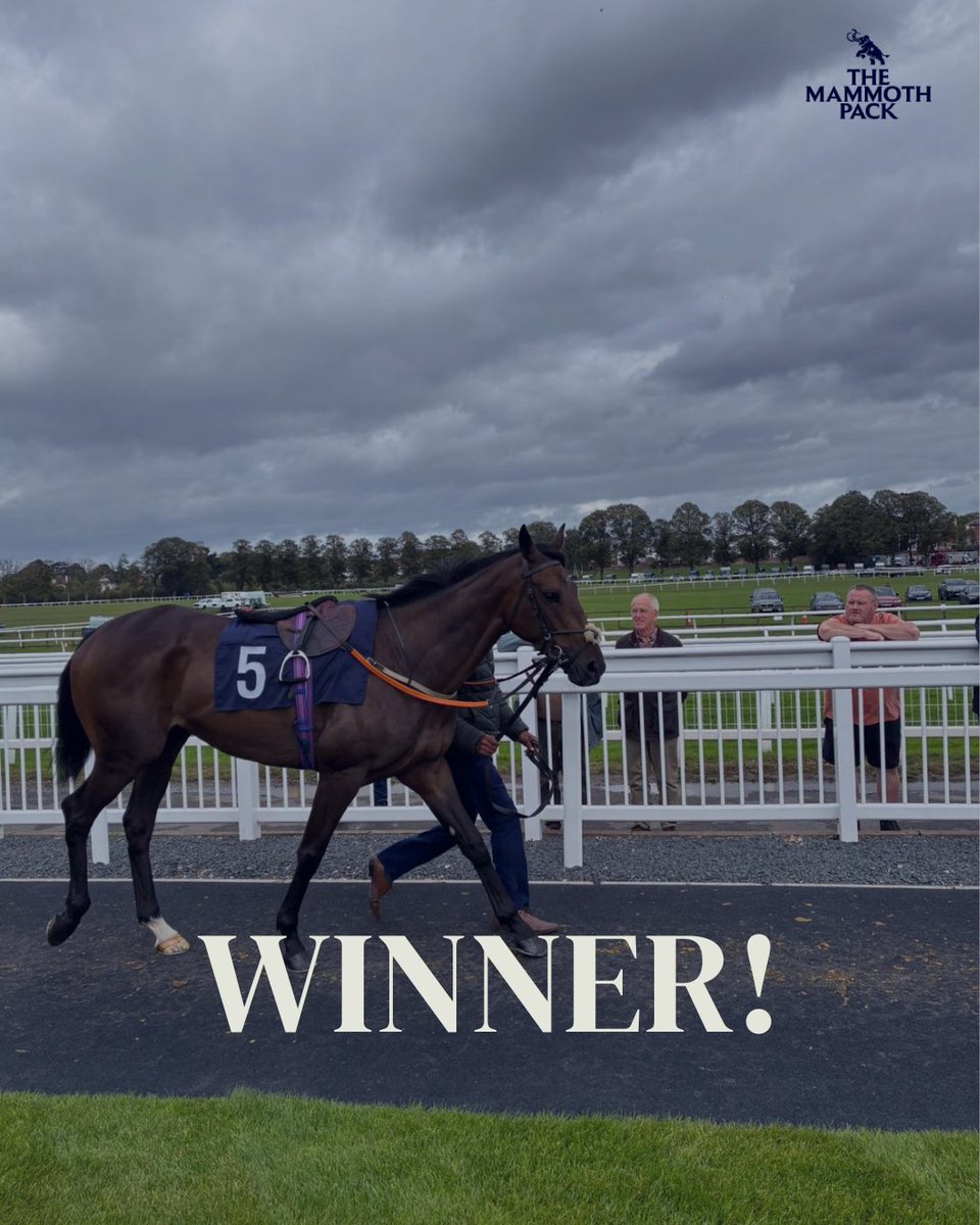 🥇MR MCLOUGHLAN🥇

What a day for <a href="/themammothpack/">The Mammoth Pack</a> owners of Mr McLoughlan as he wins on his 2nd run over hurdles. Fantastic ride from <a href="/Sean_Bowen_/">Sean Bowen</a> and excellent training performance from <a href="/JackJonesRacing/">Jack Jones Racing</a>.

Also a massive shout out to <a href="/GKBloodstock/">George Kimberley Bloodstock</a> who helped us buy Mr M for £9k.
