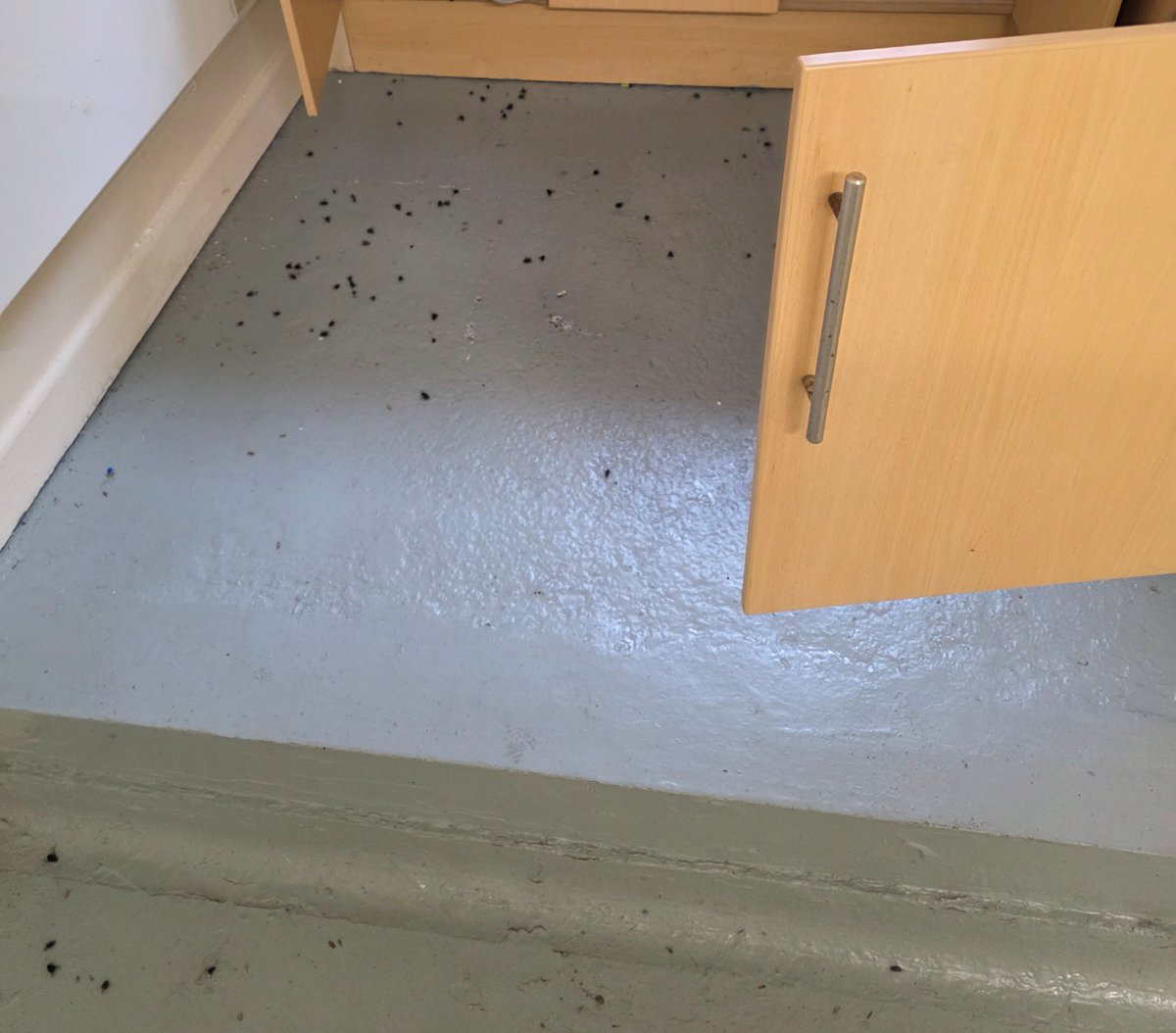 peterpolyester's tweet image. Be aware of Hexagon Commercial Property @hexagoncp

They think its okay to hand over a property with an infestation of dead insects as per these photographs.

Moth infestation now and an unusable property all they do is threaten legal action for rent arrears