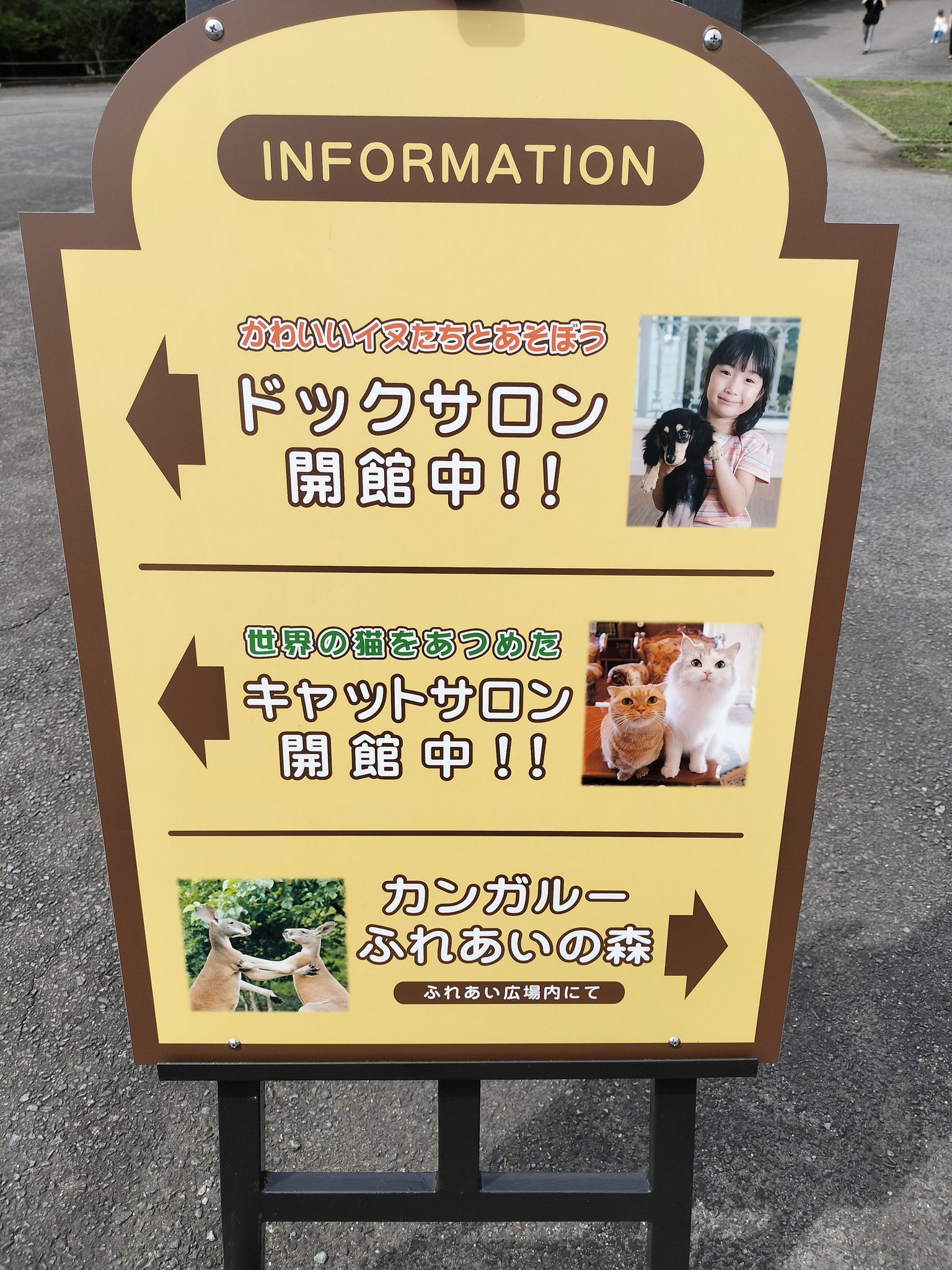 タイ在住11年 わらしべ長者【筋トレ日記】 (@warashibe76) / X