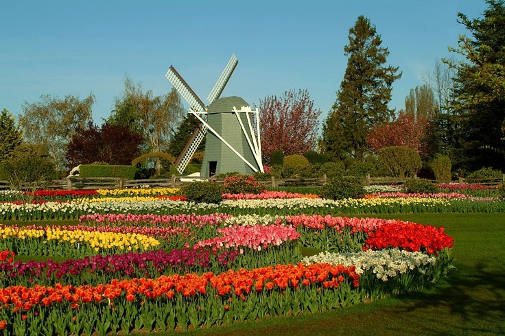 CAT1PRO's tweet image. Thank you 💞🧜‍♀️#Mermy, you too.