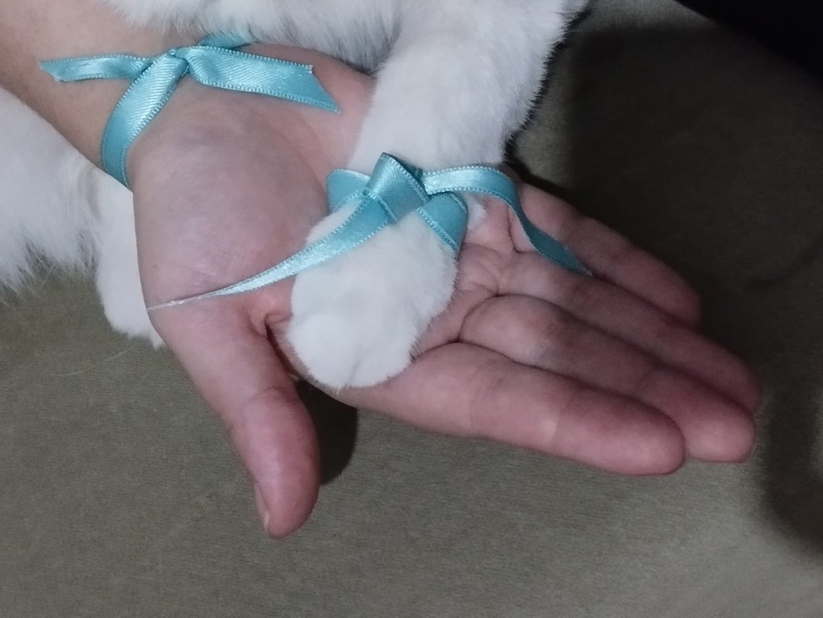 #SumudForGaza  #GlobalSumudFlotilla #FreePalestine  #SumudFilosu  #SumuduSavun