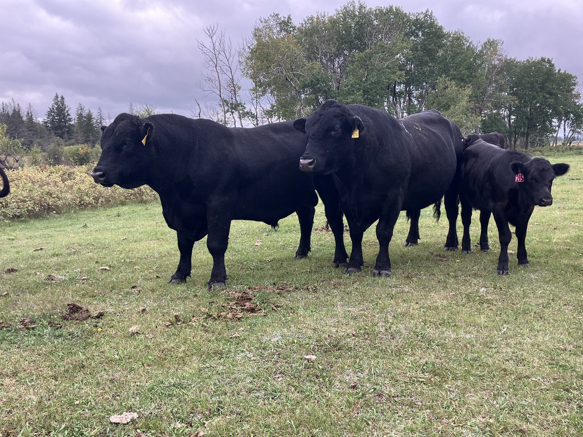 Mitch Stuart tweet media