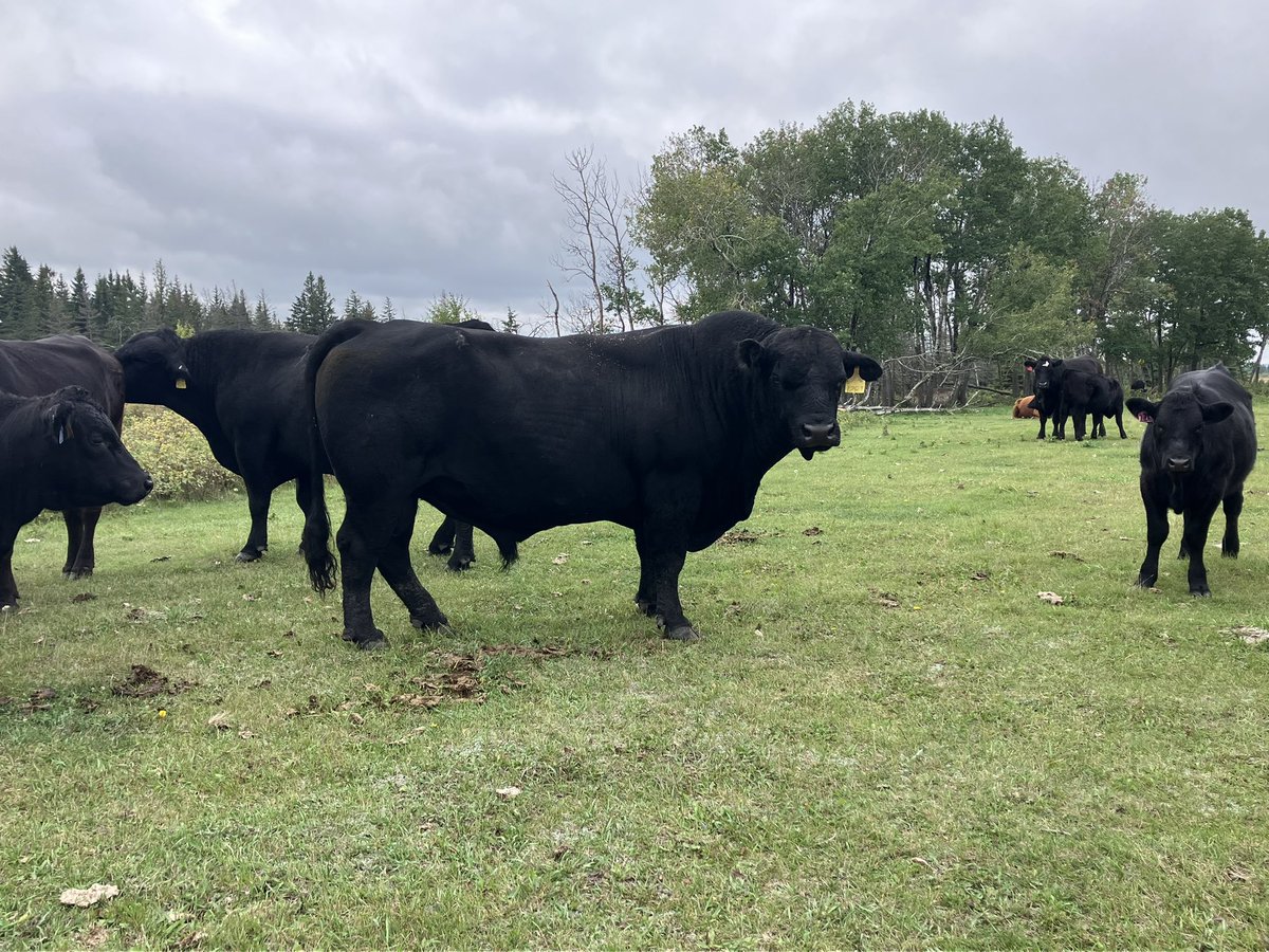 Mitch Stuart tweet media