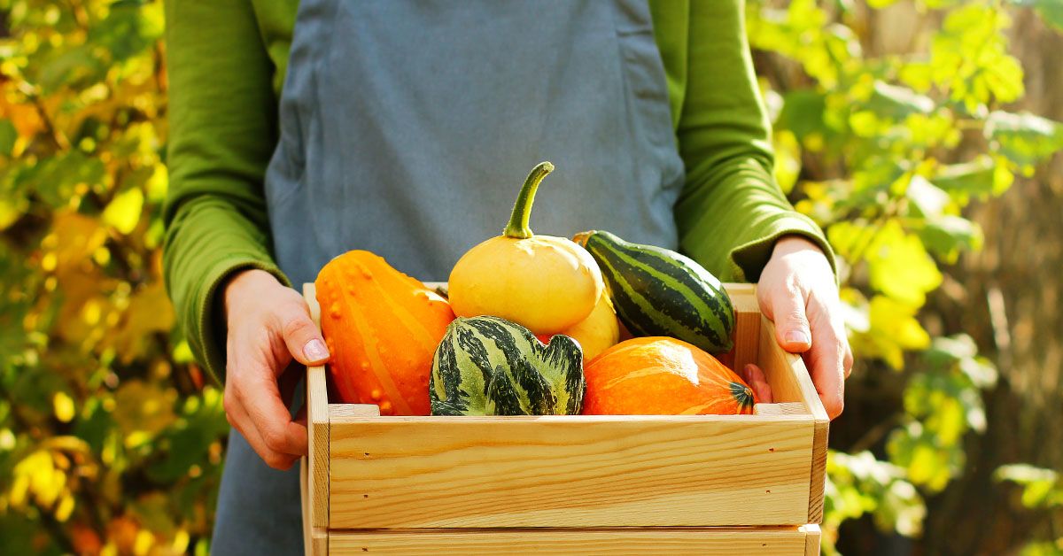 EstherFishmanMS's tweet image. What financial goals do you want to achieve before year-end? Let's talk about moves you can make this fall to help set yourself up for success. livesocial.seismic.com/t6ZMvP