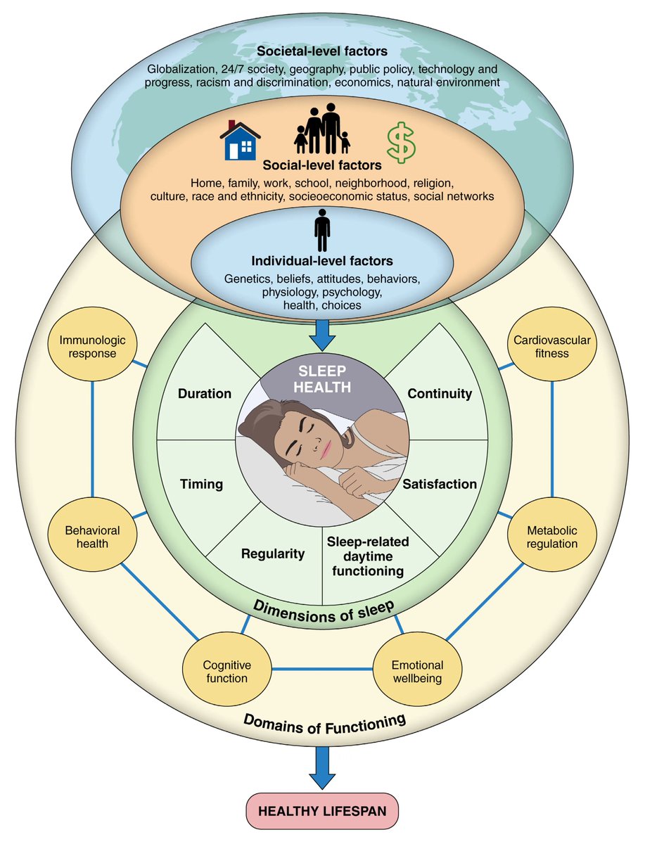 ¿DORMIR MENOS AUMENTA EL RIESGO CARDIOVASCULAR?

A continuación, abrimos un nuevo #HiloIntraMed👇🏽