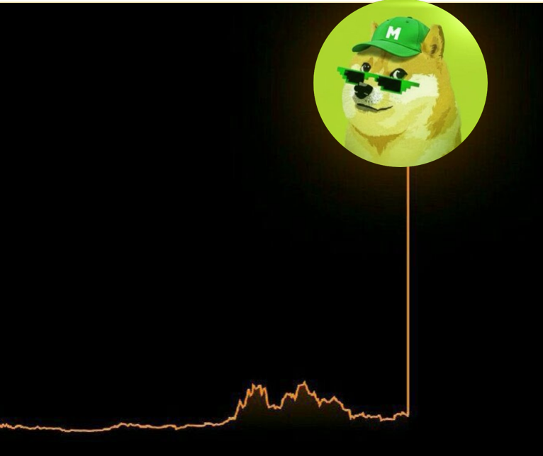 Summer_venom's tweet photo. $MDOG 
1 $MDOG = 0.001 $USDT     ath  @mdogmorph https://t.co/UPpPtRehb4
