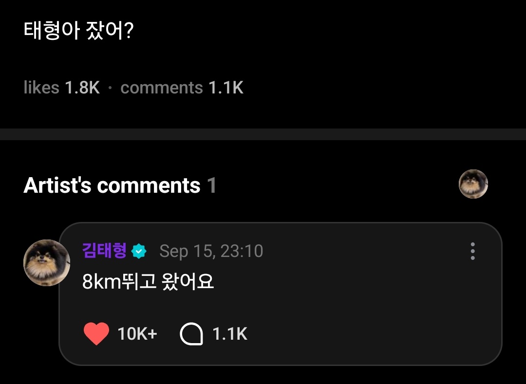 Anpangirl21's tweet photo. — [🌟] #TAEHYUNG (Weverse)

👤: TAEHYUNG-ah, ¿estás dormido?
🐻: Vine después de correr 8km.

👤: TAEHYUNG-ah, ¿comiste algo?
🐻: Pedí un makguksu.
 
👤: TAEHYUNG-ah, ¿harás LIVE el día de hoy?
🐻: No. Si es una videollamada, es posible.

(+)
@BTS_twt https://t.co/CLMujdj7dw