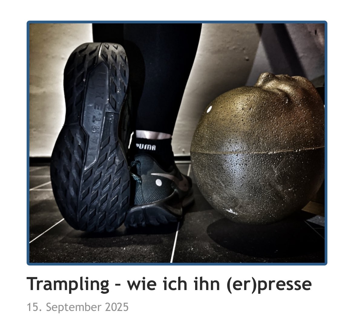 SophiaMirabilis's tweet image. New blog post online (only in German). Have fun! 👟