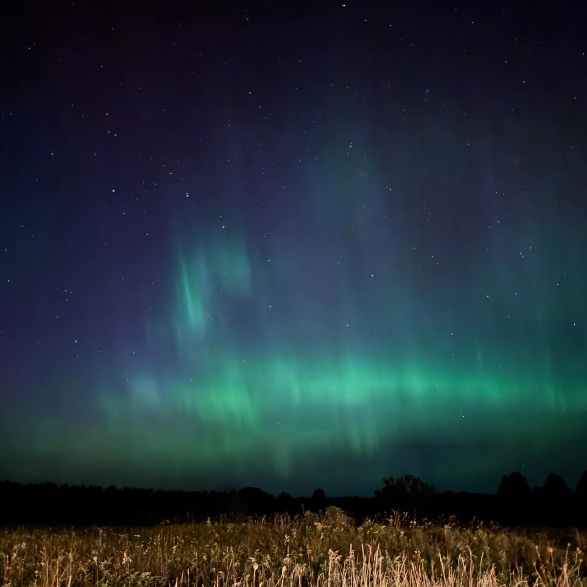 Gorgeous northern lights sighting in Door County last night 🩷 #northernlights #doorcounty