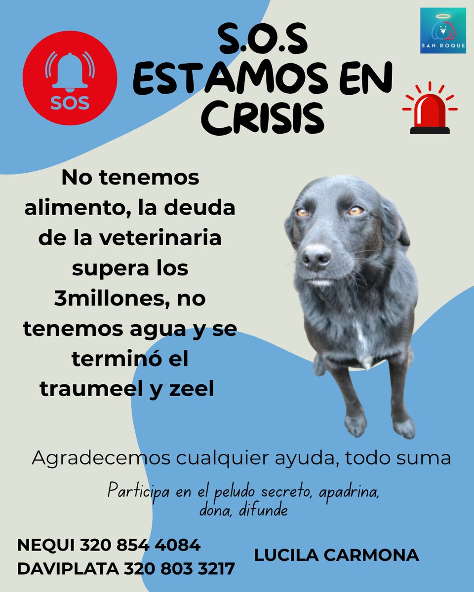 🚨 S.O.S Fundación San Roque 🚨
Hoy atravesamos una crisis muy difícil 😔. No tenemos alimento, nuestra deuda veterinaria supera los 3 millones, no tenemos agua y se acabaron medicamentos esenciales como traumeel y zeel.

Nuestros peluditos dependen de la solidaridad y el amor de